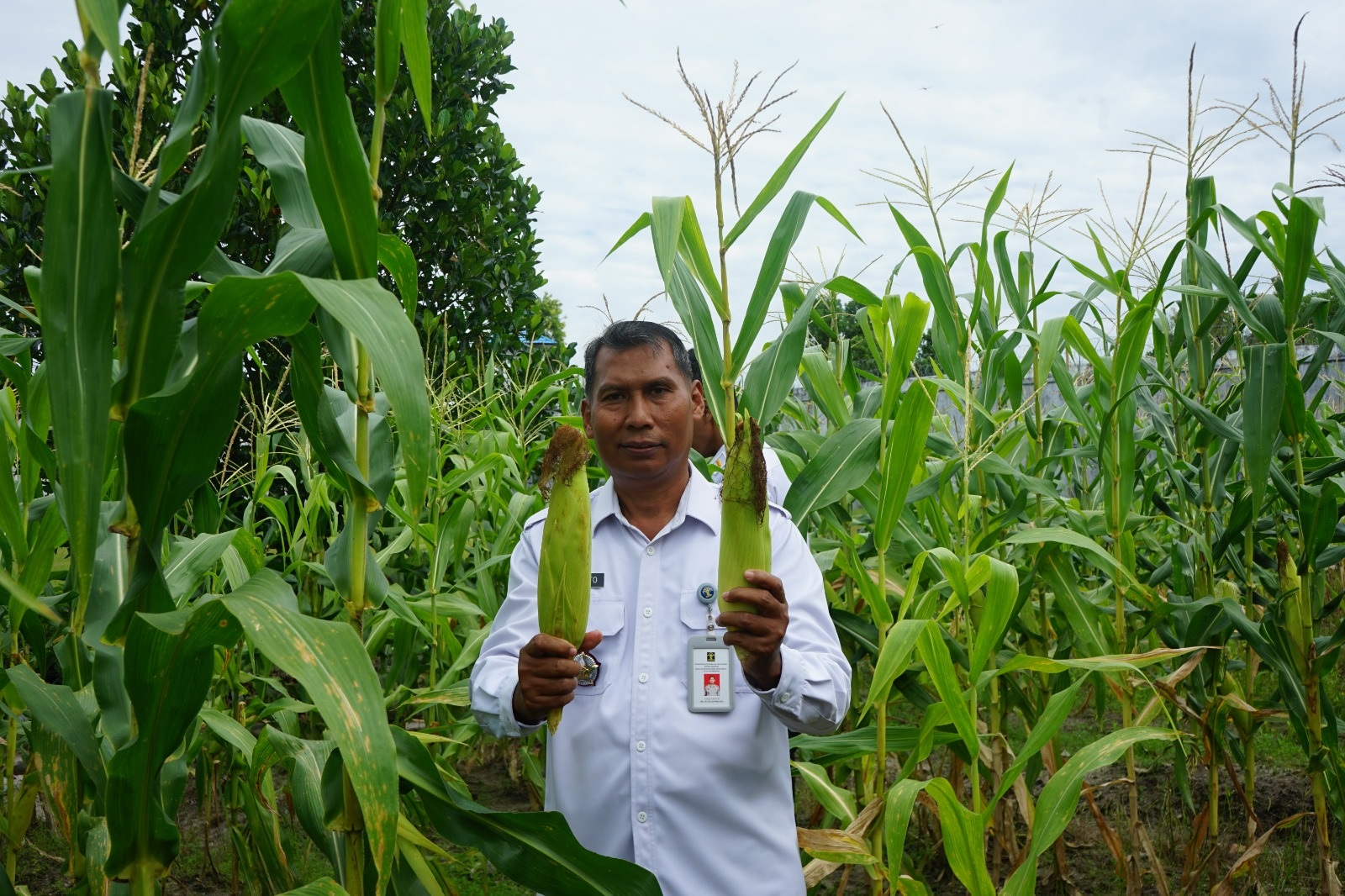 Rutan Kelas IIA Palangka Raya Panen 25 Kilogram Jagung