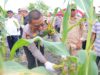 Polres Kobar Panen Raya Jagung Tahap I