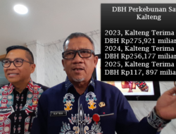 DBH Sawit 2025 Turun, Kenapa?- Pemprov Surati Pemerintah Pusat
