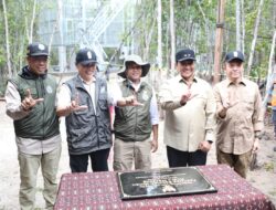 Menhut Antarkan Orang Utan Sekolah di Nyaru Menteng