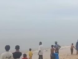 Penampakan Buaya Gegerkan Pengunjung Pantai Devita