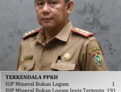 Ratusan Perusahaan Tambang di Kalteng Mangkrak
