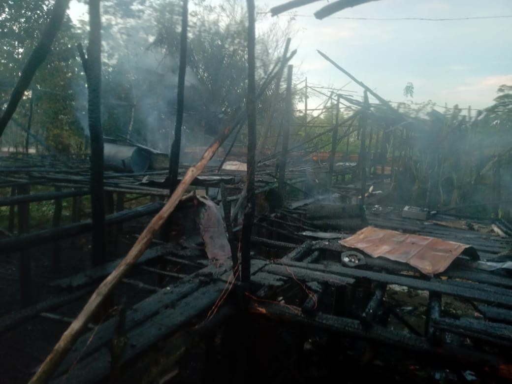 KEBAKARAN-Ribuan Ayam Broiler Mati Terpanggang