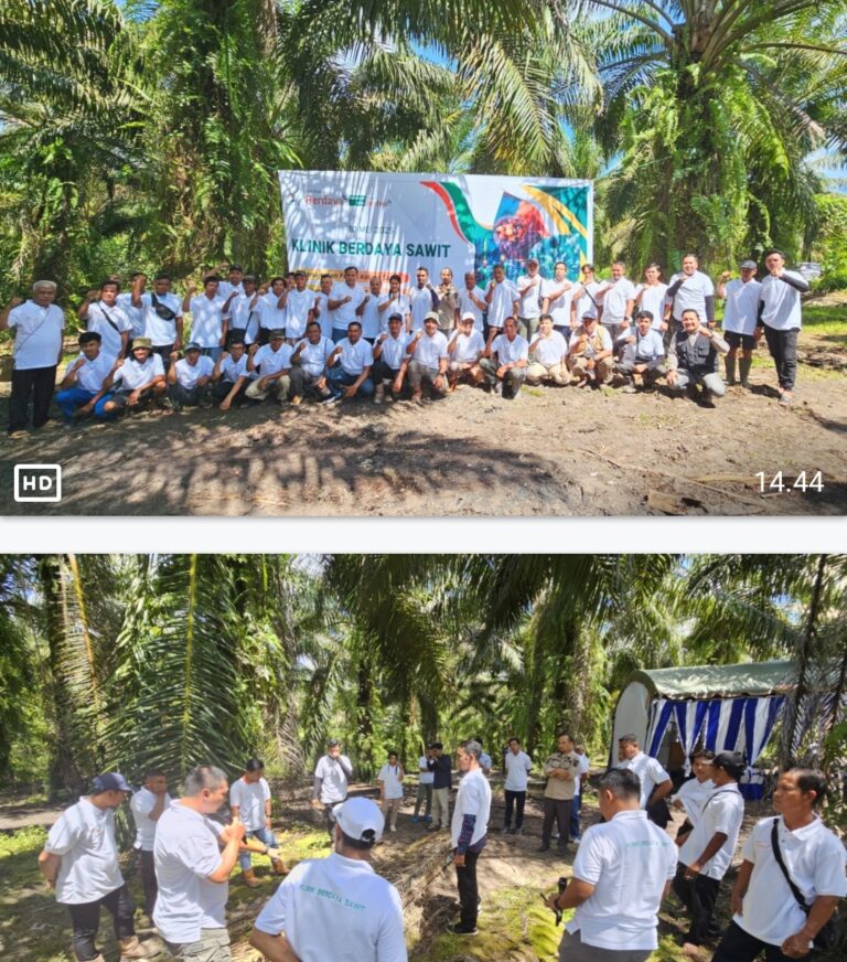 Masyarakat Berterima Kasih kepada PT BGA Gelar Pelatihan Budidaya Kelapa Sawit