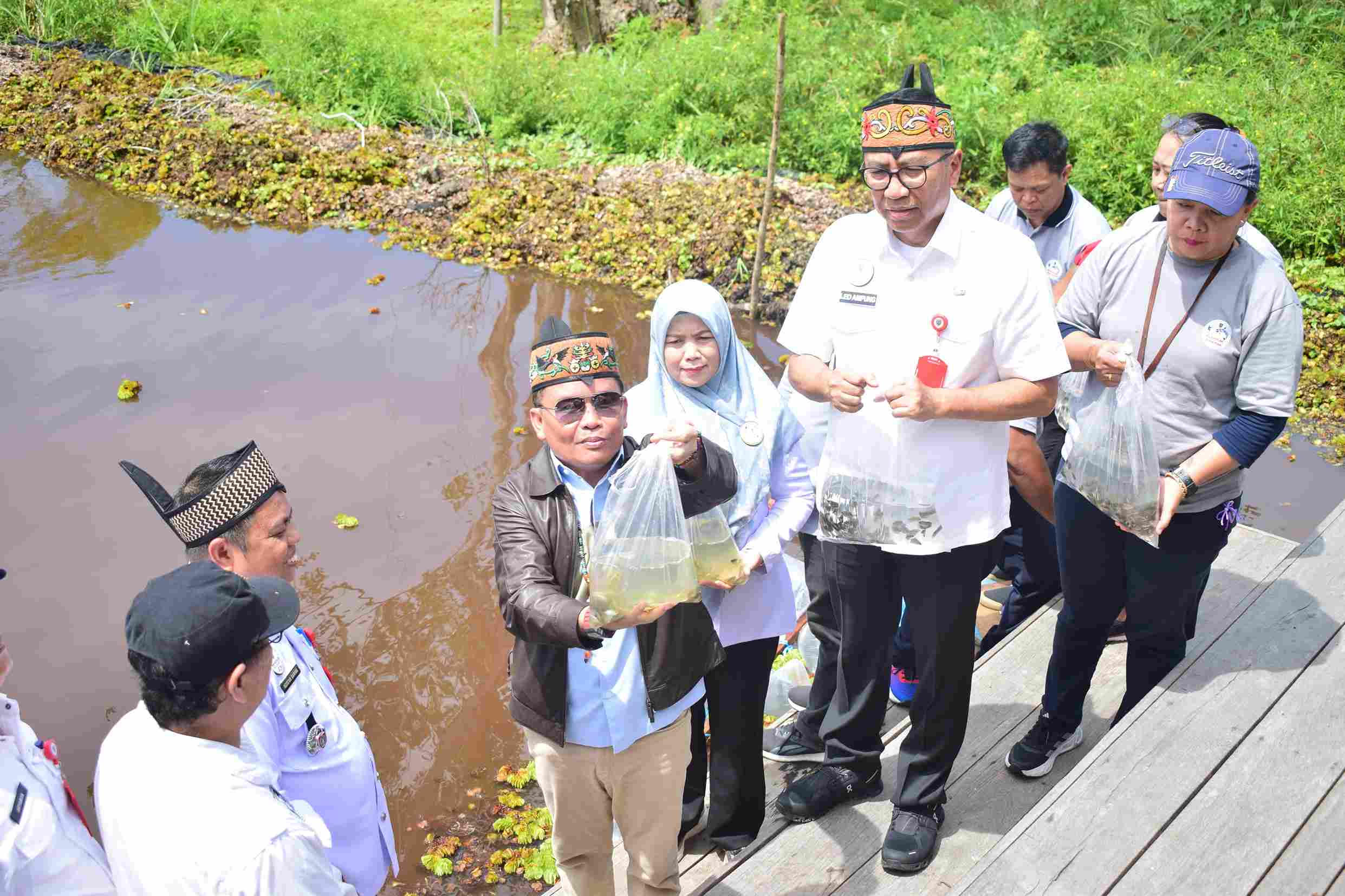 Gubernur Tebar 125 Ribu Benih Ikan Betok di Tahai