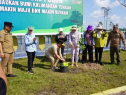 Gubernur Kalteng Tanam Pohon di Danau Asam, Dukung Program 3 Juta Pohon