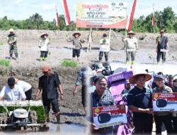 Bupati Kapuas Tanam Perdana di Lokasi CSR Sei Kayu