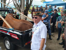 Gubernur Kalteng Serahkan 600 Sapi Kurban