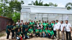 Dukung Ketahanan Pangan, PLN Palangka Raya Luncurkan Program Smart Farming Hidroponik