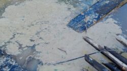 Pipa Bocor, Kondensat Diduga Milik PT MGE Cemari Lingkungan