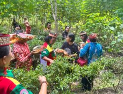 PEREMPUAN BERDAYA INDONESIA RAYAB-intang Puspayoga Tinjau Program Tanam Cabe di Kalteng
