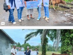 Subholding Pelindo Multi Terminal Branch Bumiharjo Bagendang Serahkan Hewan Qurban