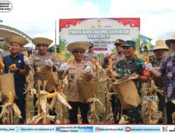 Bupati Murung Raya Panen Jagung Serentak