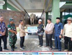 Bupasti Mura Serahkan Bantuan Sapi Kurban Presiden Ke Masjid Agung Al-Istiqlal