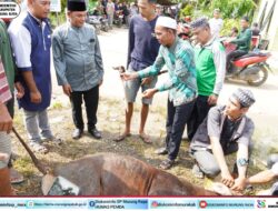 Wabup Mura Tinjau Pemotongan Hewan Kurban di Langgar Al-Munawarrah