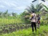 Polsek Danau Sembuluh Pantau Program Pekarangan Pangan Bergizi