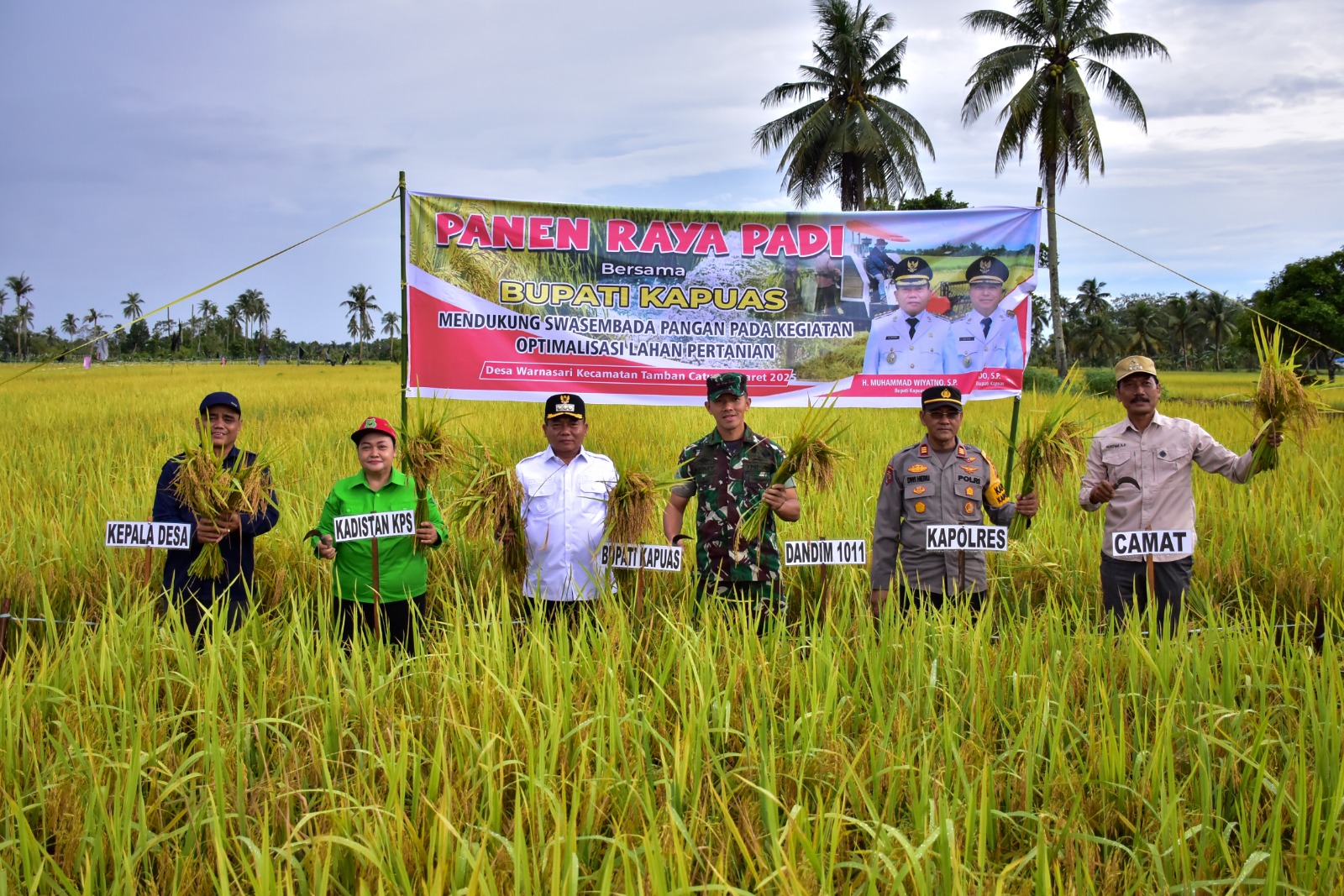 Bupati Panen Raya Padi di Kecamatan Tamban Catur
