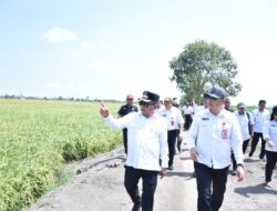 Bupati HM Wiyatno Tinjau Kesiapan Panen Raya Padi di Kecamatan Bataguh Bupati HM Wiyatno Tinjau Kesiapan Panen Raya Padi di Kecamatan Bataguh