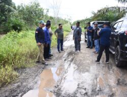 Bupati Kapuas Tinjau Langsung Kondisi Terkini Jalan Poros