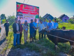 Bupati Serahkan Hewan Kurban untuk Masjid Al Mila Bupati Serahkan Hewan Kurban untuk Masjid Al Mila