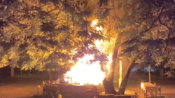 Meja dan Kursi Pedagang Terbakar di Jalan AIS Nasution