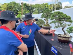 Bernilai Mahal, Wagub Dorong Komunitas Bonsai di Kalteng