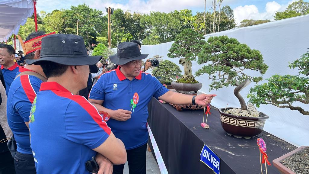 Bernilai Mahal, Wagub Dorong Komunitas Bonsai di Kalteng