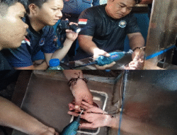 Drama Cincin Macet, Damkar Berhasil Selamatkan Jari Warga