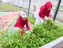 Manfaatkan Lahan Terbatas, LPP Panen Kangkung di Area Brandgang