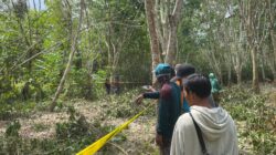Bersihkan Kebun Karet, Warga Desa Gandang Kaget Ada Kerangka Manusia