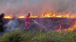 BMKG: Ancaman Karhutla di Kalimantan Meningkat