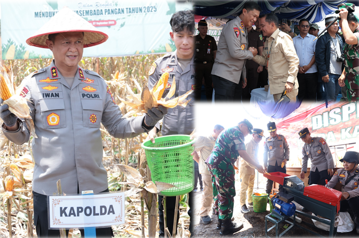 Gubernur, Kapolda dan Pangdam Panen Jagung, Dukung Ketahanan Pangan Nasional