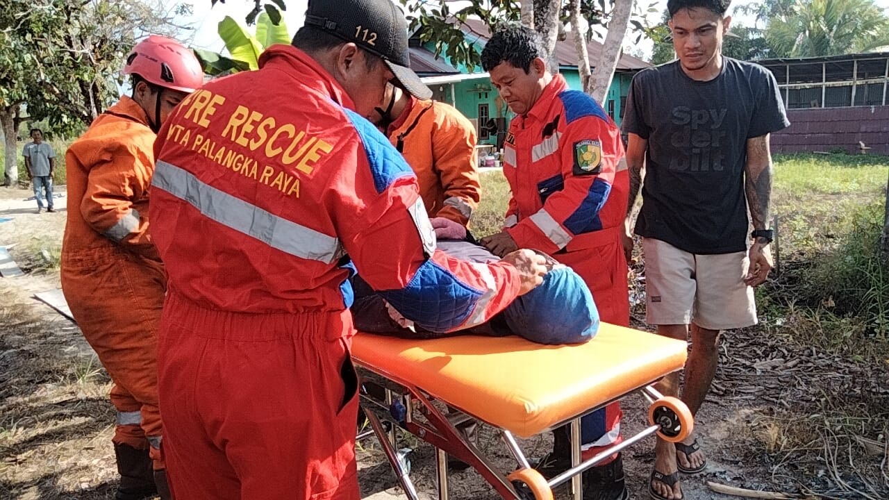 Damkar Evakuasi Warga Pingsan Akibat Disengat Ratusan Lebah Jalan G. Obos XIV