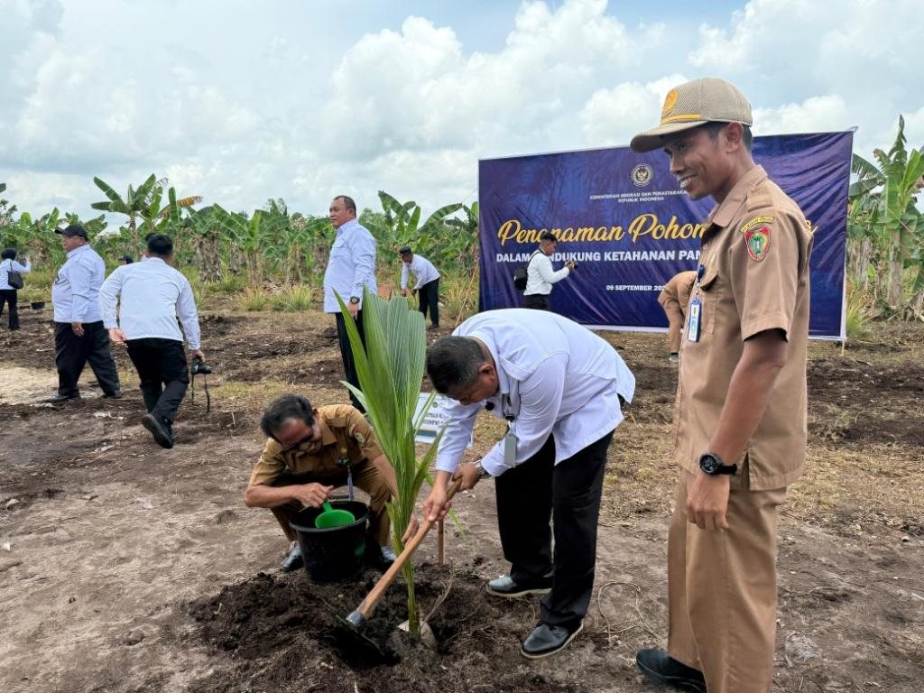 Kanwil Ditjenpas Tanam 5.000 Bibit Kelapa Serentak