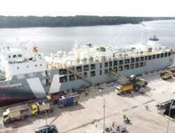 Kapal MV Friesian Express Angkut 1919 Ekor Sapi Bongkar di Dermaga Multipurpose Bumiharjo 