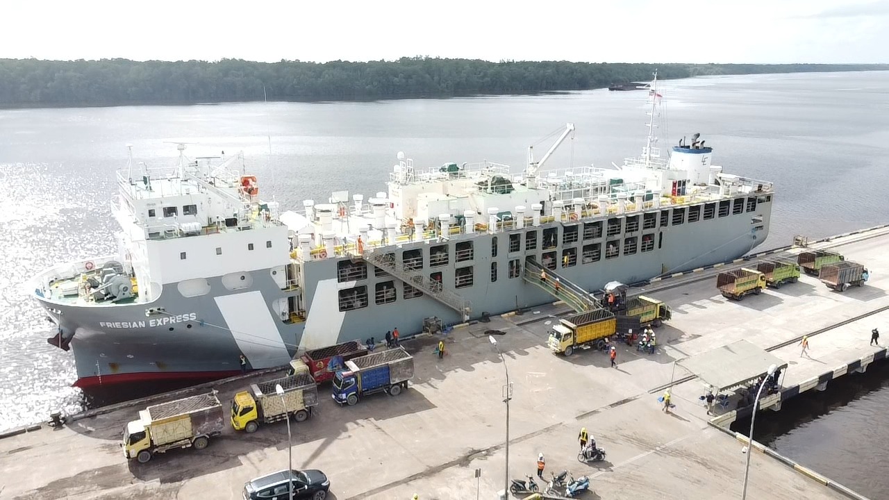 Kapal MV Friesian Express Angkut 1919 Ekor Sapi Bongkar di Dermaga Multipurpose Bumiharjo 