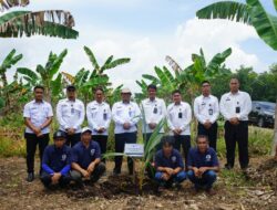 Rutan Palangka Raya Ikut Gerakan Nasional Penanaman Pohon Kelapa