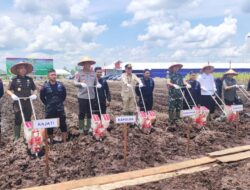 Perkuat Swasembada Pangan Nasional, Dinas Perkebunan Kalteng Sambut Baik Inisiatif Penanaman Jagung Polda Kalteng Perkuat Swasembada Pangan Nasional, Dinas Perkebunan Kalteng Sambut Baik Inisiatif Penanaman Jagung Polda Kalteng