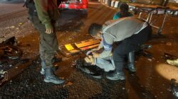 Satlantas Polresta Palangka Raya Evakuasi Korban Laka Lantas 
