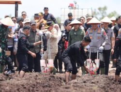 Penanaman Jagung Serentak Kuartal IV, Kapolda: 136 Hektare di 101 Titik