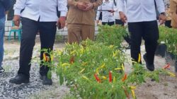 Ketapang Rupa, Inovasi Rutan Palangka Raya Wujudkan Ketahanan Pangan