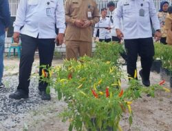 Ketapang Rupa, Inovasi Rutan Palangka Raya Wujudkan Ketahanan Pangan