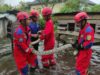 Damkar Evakuasi Ular Piton 4 Meter dari Kandang Ayam Warga