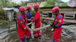 Damkar Evakuasi Ular Piton 4 Meter dari Kandang Ayam Warga