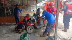 Anak Ular Piton Bikin Heboh Usai Masuk ke Scoopy Anak Ular Piton Bikin Heboh Usai Masuk ke Scoopy