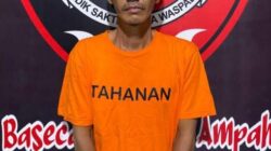 3 Bulan DPO, Buronan Pencuri Sawit Ditangkap