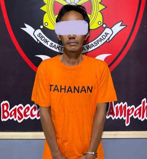 3 Bulan DPO, Buronan Pencuri Sawit Ditangkap