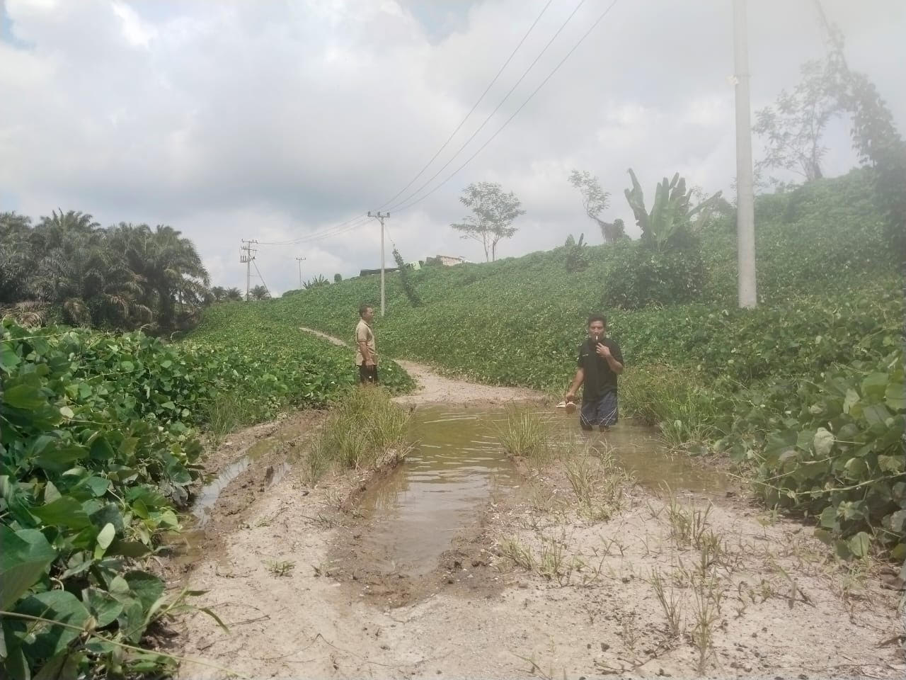 DIDUGA JALAN DIRUSAK ANGKUTAN BATU BARA-Warga Kapuas Ancam Tutup Jalan PT STP