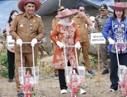 Bupati Shalahuddin Gelorakan Era Baru Pertanian dengan Jagung Hibrida