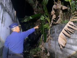 Pohon Pisang Terbakar, Diduga akibat Puntung Rokok